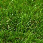Vidaxl gazon artificiel 1x8 m / 40 mm vert