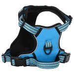 Vidaxl harnais pour chien avec laisse et collier rglables bleu m