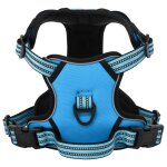 Vidaxl harnais pour chien avec laisse et collier rglables bleu xl