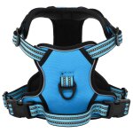 Vidaxl harnais pour chien avec laisse et collier r�glables bleu xl