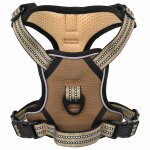 Vidaxl harnais pour chien avec laisse et collier r�glables marron l