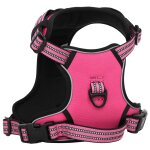 Vidaxl harnais pour chien avec laisse et collier rglables rose l