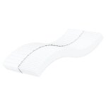 Vidaxl matelas en mousse blanc 100x220 cm duret� h2 h3
