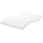 Vidaxl matelas en mousse blanc 120x220 cm 7 zones duret� 20 ild