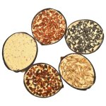 Vidaxl moitis de noix de coco de nourriture d'oiseaux 10 pcs 290 g