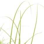 Vidaxl plante artificielle � herbe 95 cm