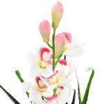 Vidaxl plante artificielle orchidée cymbidium avec pot 100 cm vert Vidaxl plante artificielle orchidée cymbidium avec pot 100 cm vert