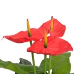 Vidaxl plante artificielle avec pot anthurium 90 cm rouge et jaune