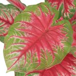 Vidaxl plante artificielle avec pot caladium 85 cm vert et rouge