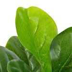 Vidaxl plante artificielle avec pot feuilles de figuier vert 90 cm