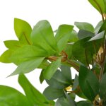 Vidaxl plante artificielle avec pot laurier vert 120 cm