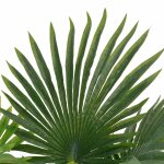 Vidaxl plante artificielle avec pot palmier vert 70 cm