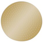 Vidaxl pomme de douche pluie acier inoxydable 40 cm ronde dor�