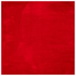 Vidaxl tapis huarte � poils courts doux et lavable rouge 160x160 cm