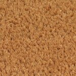 Vidaxl tapis de porte naturel 40x60 cm fibre de coco touffet�