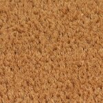 Vidaxl tapis de porte naturel 50x80 cm fibre de coco touffet�