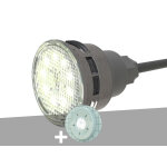 Projecteur led mini - brio + 6w blanc mini + m6 + enjoliveur blanc piscine liner - ccei
