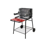 Barbecue vertical raymond