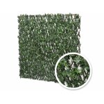 Treillis extensible feuilles de vigne vierge 2 m (2 treillis de 1 x 2 m) - jardideco Treillis extensible feuilles de vigne vierge 2 m (2 treillis de 1 x 2 m) - jardideco