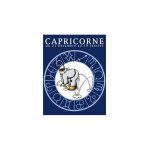 Atelier de la deco torchon au th�me du zodiaque -