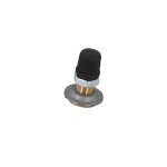 Varem valve de gonflage 5  100 l - 21 mm