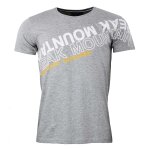 T - shirt homme cyclone gris