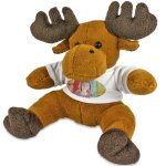 Ocadeau peluche lan personnalise