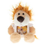 Ocadeau peluche lion photo Ocadeau peluche lion photo