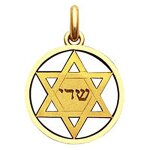 Mdaille becker etoile de david