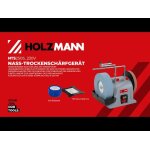 Holzmann nts250s 230v broyeur humide et sec 250 mm