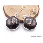 Boucles d'oreilles hypersthne hexagonales