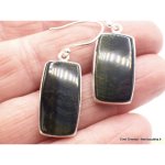 Boucles d'oreilles en oeil de tigre bleu rectangulaires