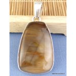 Pendentif goutte en bois pétrifié Pendentif goutte en bois pétrifié