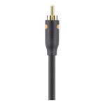 Belkin f3y096bf1m - p c�ble coaxial 1 m rca noir - neuf