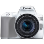 Canon eos 250d + ef - s 18 - 55mm f / 4 - 5. 6 is stm kit d'appareil - photo slr 24, 1 mp cmos 6000 x ...
