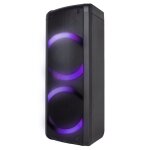 Enceinte high powe gamme dj 100w - blaupunkt - blp3945 - 133 - noir - neuf