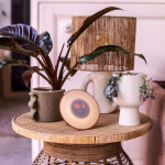 Radio - rveil digital simulateur d'aube - neuf