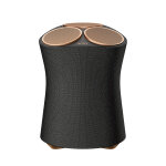 Sony srs - ra5000 enceinte portable stro noir, or 55 w - neuf
