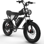 Vlo lectrique pour adulte ridstar q20 1000 w 48 v 20 ah max 50 km / h moto lectrique 20 pouces gros ...