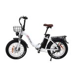 V�lo �lectrique drvetion ct20 - 20 * 4. 0 pouces moteur 750w batterie 48v10ah autonomie 35 - 45km - blanc ...