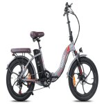 V�lo �lectrique fafrees f20 pro - moteur 250w batterie 648wh autonomie 80km - gris - neuf