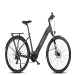 Vlo lectrique fafrees fm9 - 250w batterie 540wh autonomie 110km - noir - neuf