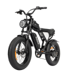 Vlo lectrique ridstar q20 mini pour adultes 1000 w 48 v 15 ah 20 pouces fat tire dirt bike - neuf