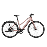 Vélo électrique riese & müller ubn seven vario - neuf Vélo électrique riese & müller ubn seven vario - neuf