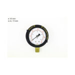 Manomtre 1 / 4  r152047 tagelus / azur / cristal pentair