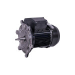 Moteur de pompe 2 cv mono - pompe victoria astralpool reconditionné Moteur de pompe 2 cv mono - pompe victoria astralpool reconditionné