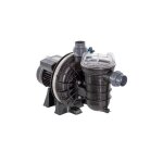 Pompe de filtration la sta - rite pentair 1, 5 cv mono