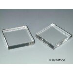 Ricestone 1ad) 12x plaques acrylique 5x5x0, 6 cm prsentation de collection