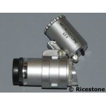 Ricestone 4) microscope 45x, examen plante et insecte.