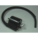 Bobine allumage tour max